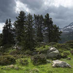 Natur